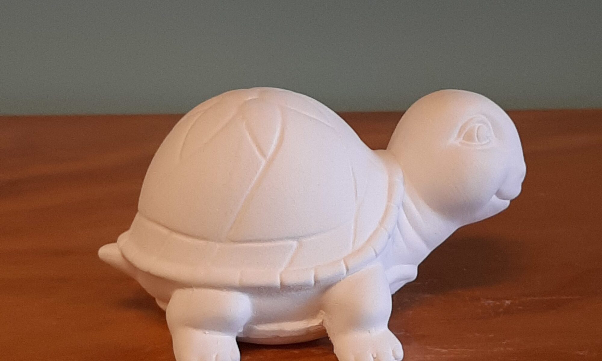 Tilly the Turtle