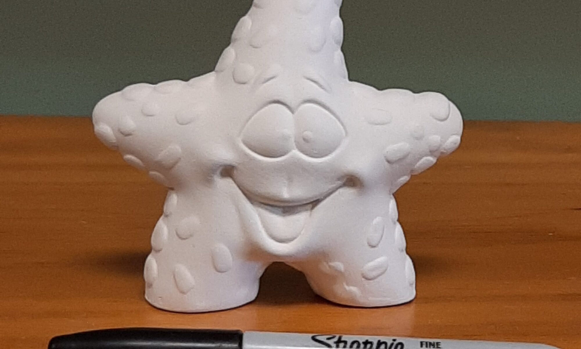 Starry Steve the Starfish