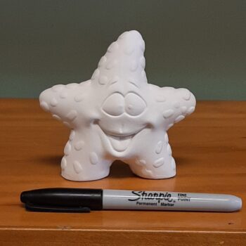 Starry Steve the Starfish