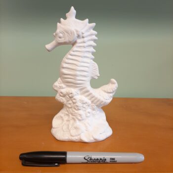 Seahorse on Coral