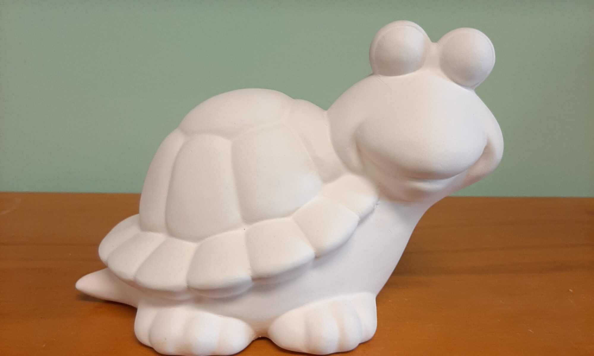 Turtle Bank