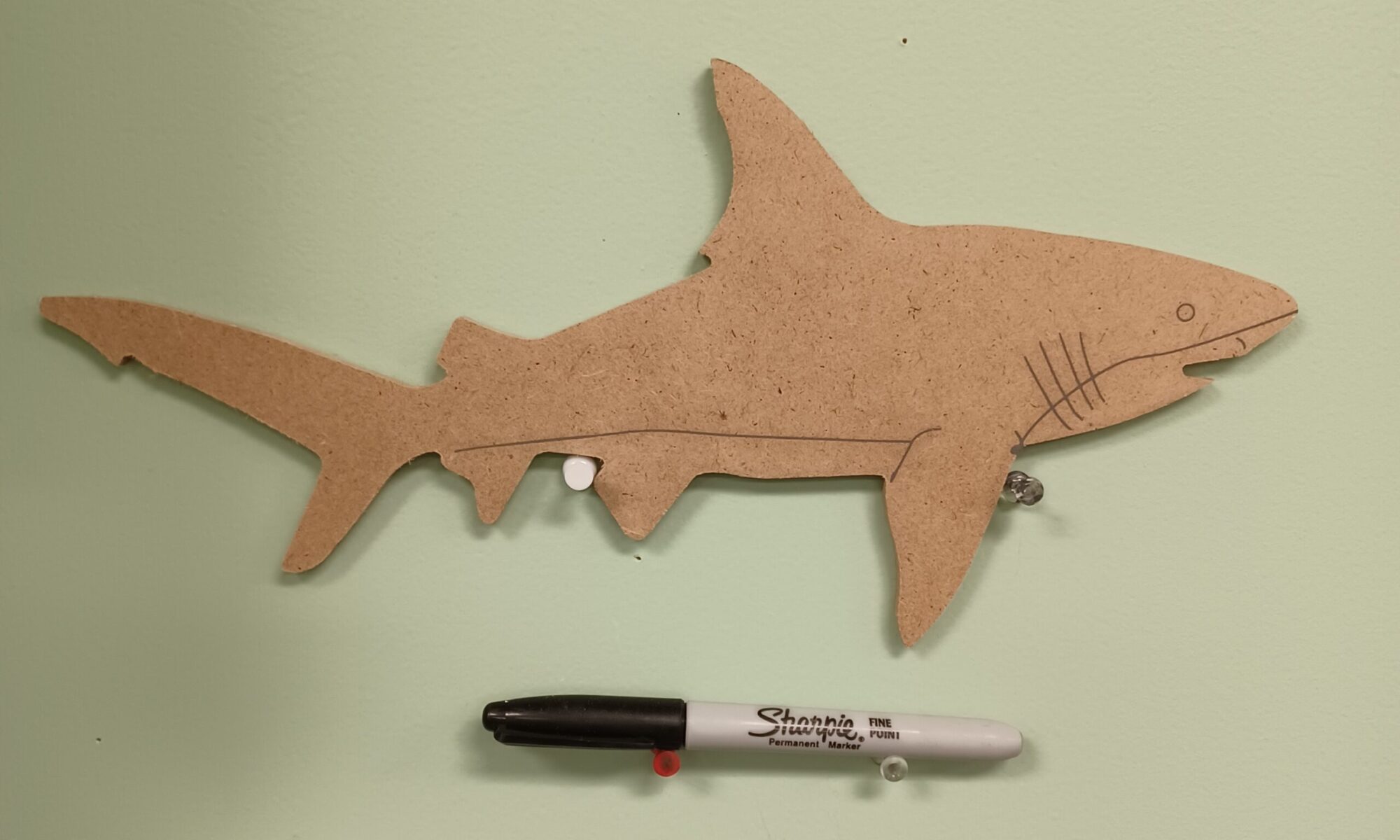 Shark Plaque