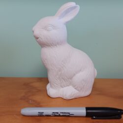 Chocolate Bunny