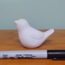 Bird Accent