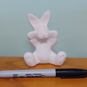 Hoppy Bunny