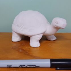 Tango the Turtle