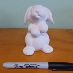 Rabbit Party Animal