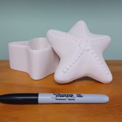 Starfish Box