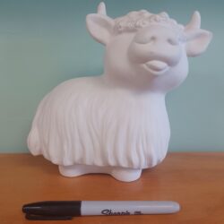 Highland Cow
