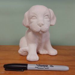 Sitting Puppy