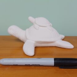 Mama And Baby Sea Turtle