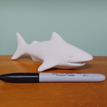 Shark