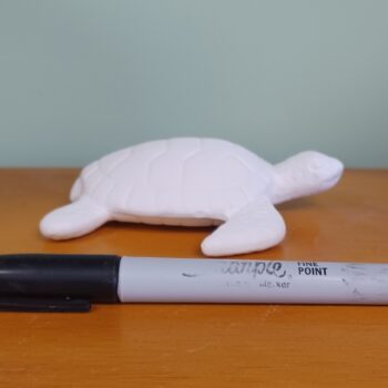 Sea Turtle