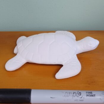 Sea Turtle
