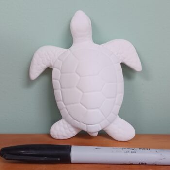 Sea Turtle