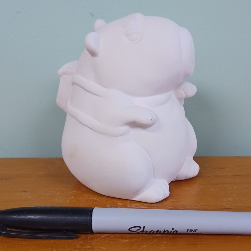 Capybara Party Animal