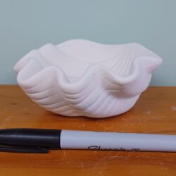 Giant Clam Shell Dish