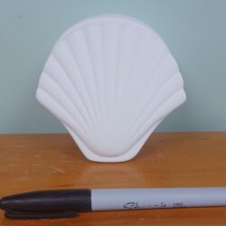 Seashell Box