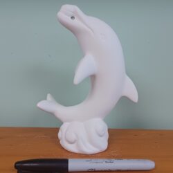 Mimi the Dolphin